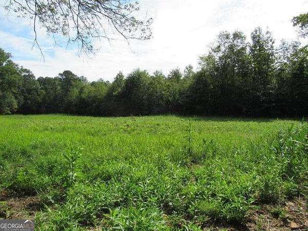 9.2 Acres of Land for Sale in Bowdon, Georgia