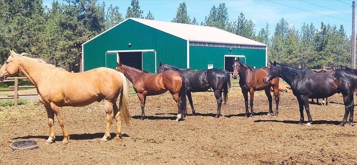 20 Acres of Agricultural Land with Home for Sale in Spokane, Washington