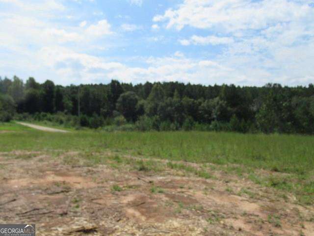 7.19 Acres of Land for Sale in Bowdon, Georgia