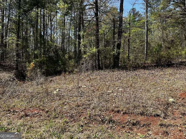 1 Acre of Residential Land for Sale in LaGrange, Georgia