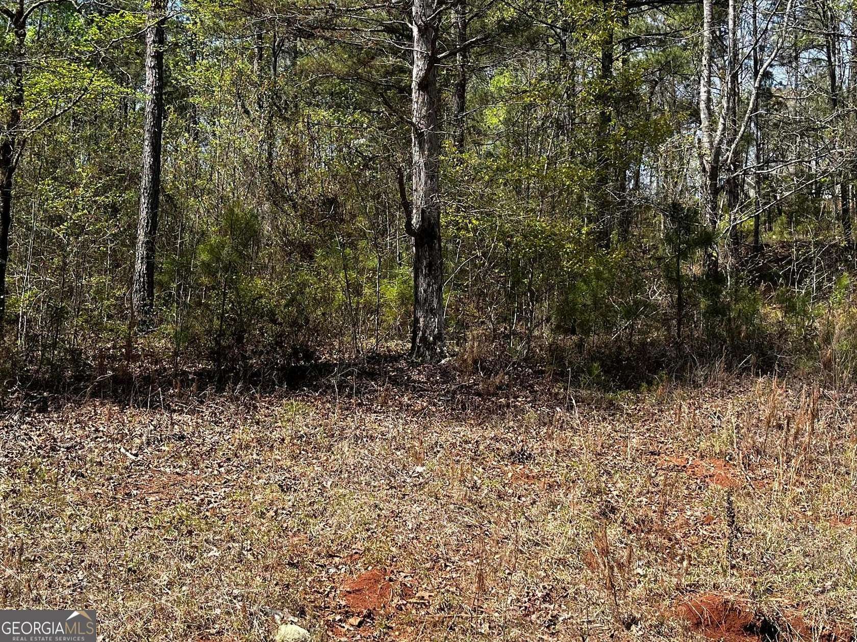 1 Acre of Residential Land for Sale in LaGrange, Georgia