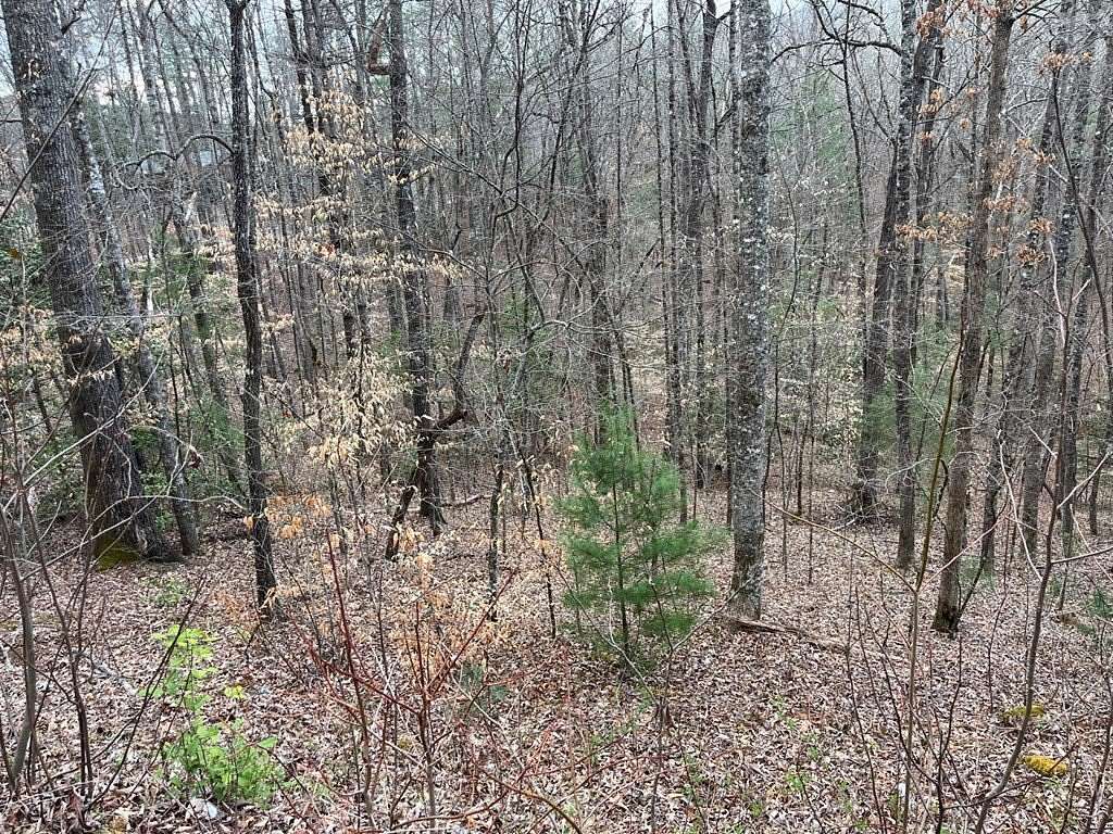 1.55 Acres of Residential Land for Sale in Murphy, North Carolina