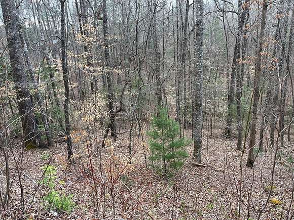 1.55 Acres of Residential Land for Sale in Murphy, North Carolina