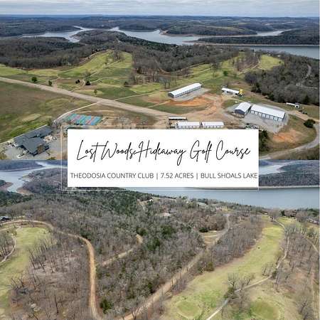 7.52 Acres of Land for Sale in Theodosia, Missouri