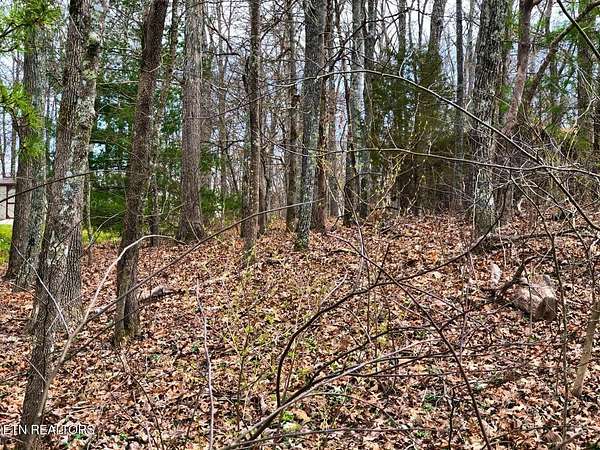0.29 Acres of Residential Land for Sale in Crossville, Tennessee