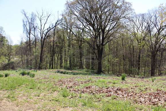 4.23 Acres of Residential Land for Sale in Ripley, Tennessee