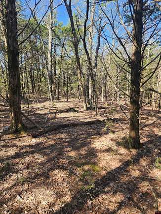 5 Acres of Land for Sale in Flippin, Arkansas