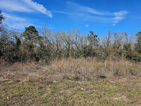 0.36 Acres of Residential Land for Sale in Ocala, Florida