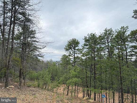 20.7 Acres of Recreational Land for Sale in Yellow Spring, West Virginia
