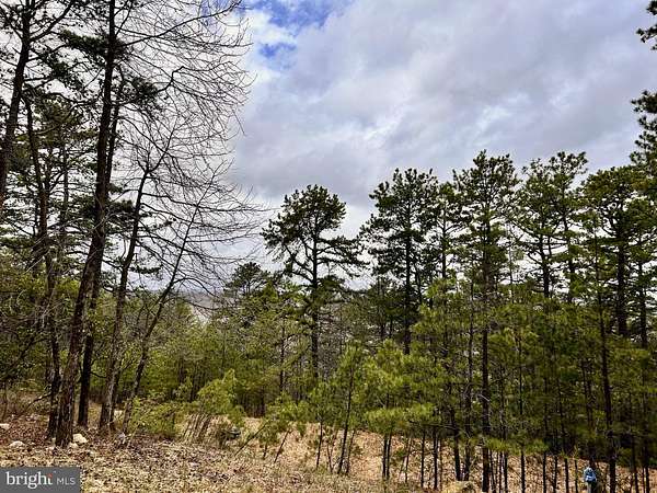 20.7 Acres of Recreational Land for Sale in Yellow Spring, West Virginia