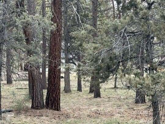 1 Acre of Residential Land for Sale in Bonanza, Oregon