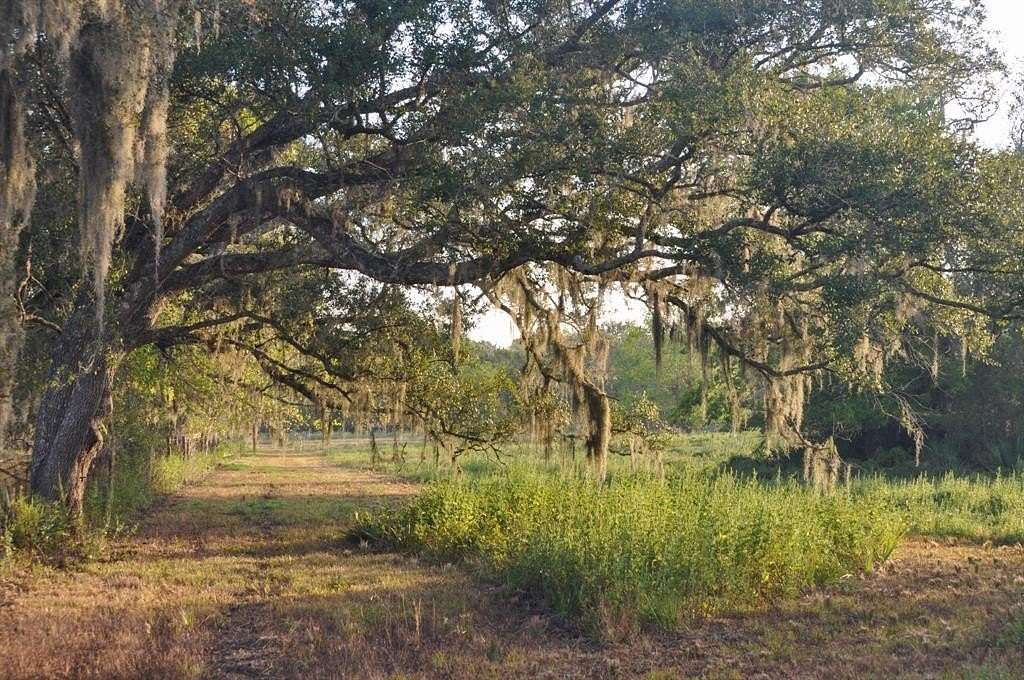 43.2 Acres of Improved Agricultural Land for Sale in Brazoria, Texas