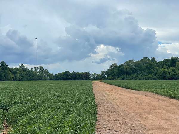 218 Acres of Land for Sale in Colfax, Louisiana