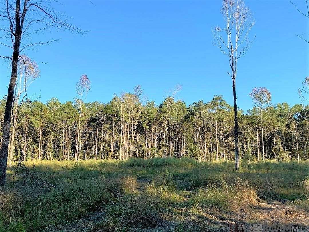 3.74 Acres of Residential Land for Sale in Clinton, Louisiana