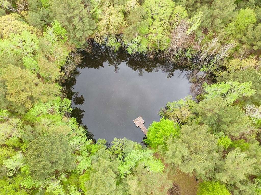 18.8 Acres of Recreational Land for Sale in Pineland, Texas