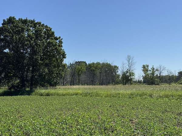 27.8 Acres of Land for Sale in Winneconne, Wisconsin