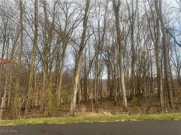 0.37 Acres of Residential Land for Sale in Malvern, Ohio