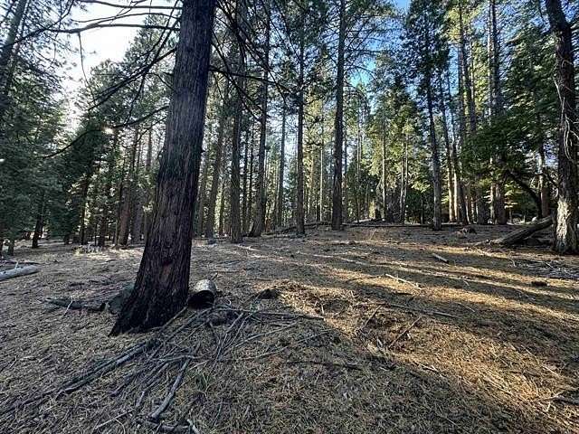 0.5 Acres of Residential Land for Sale in Lake Almanor Country Club, California