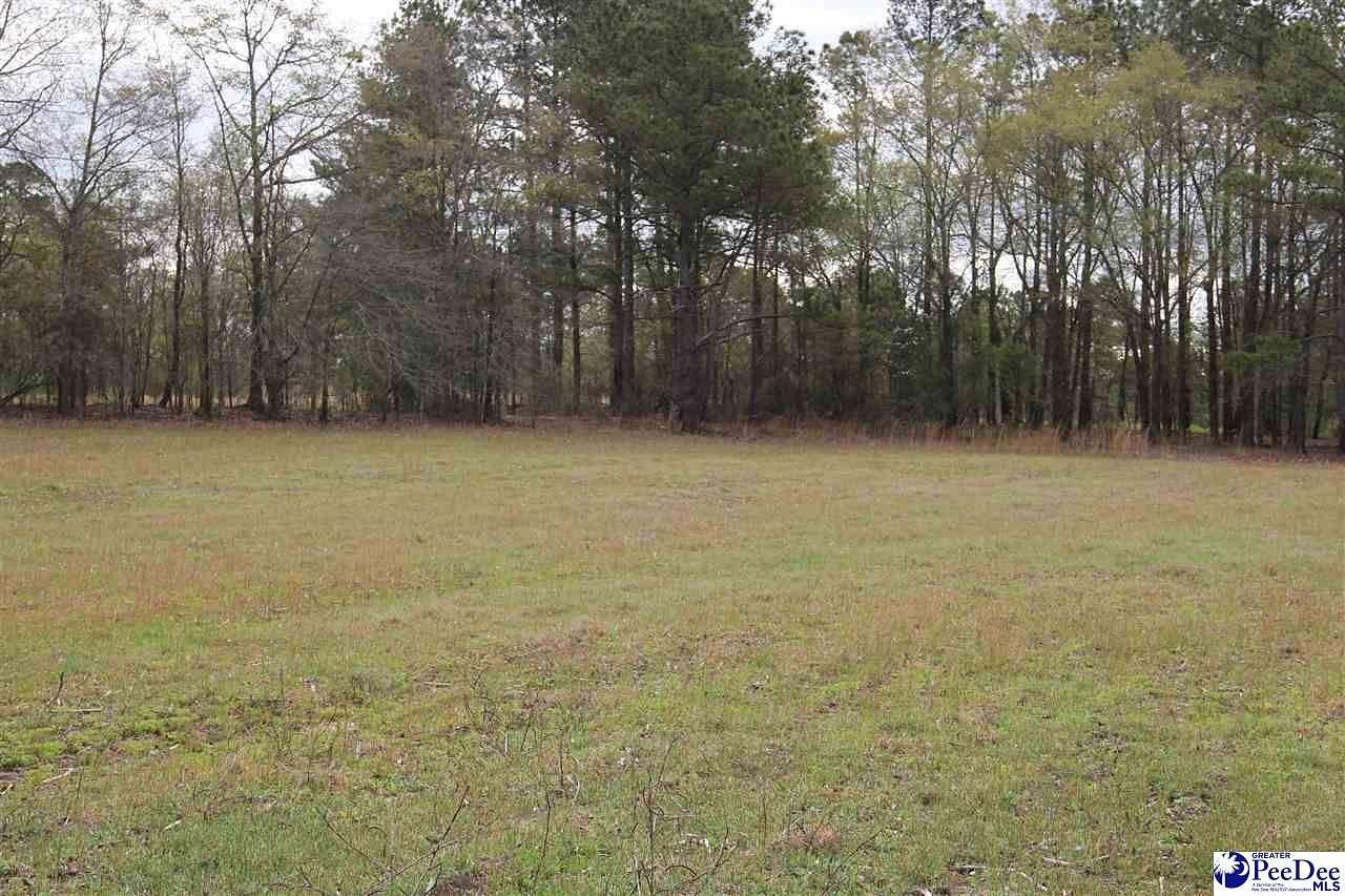 29.4 Acres of Improved Mixed-Use Land for Sale in Hartsville, South Carolina