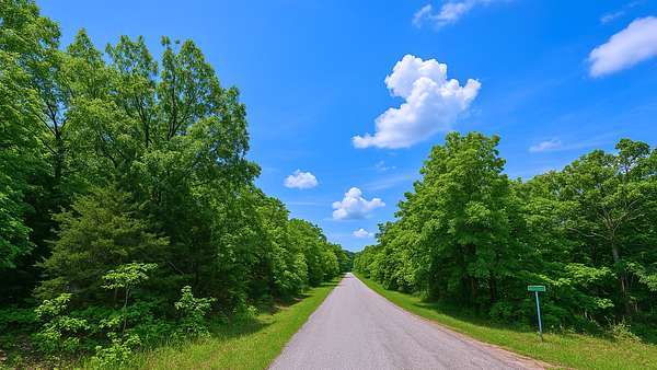 0.38 Acres of Residential Land for Sale in Horseshoe Bend, Arkansas