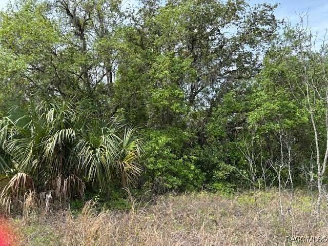 1 Acre of Land for Sale in Dunnellon, Florida