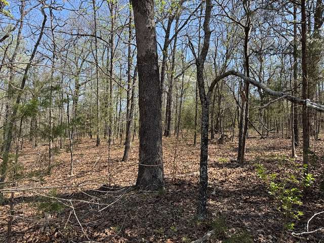 0.4 Acres of Residential Land for Sale in Horseshoe Bend, Arkansas