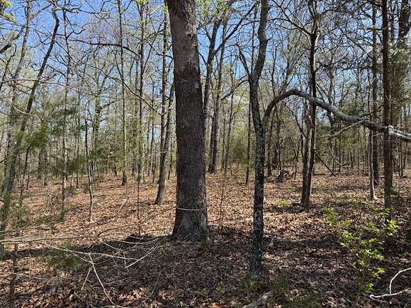 0.4 Acres of Residential Land for Sale in Horseshoe Bend, Arkansas