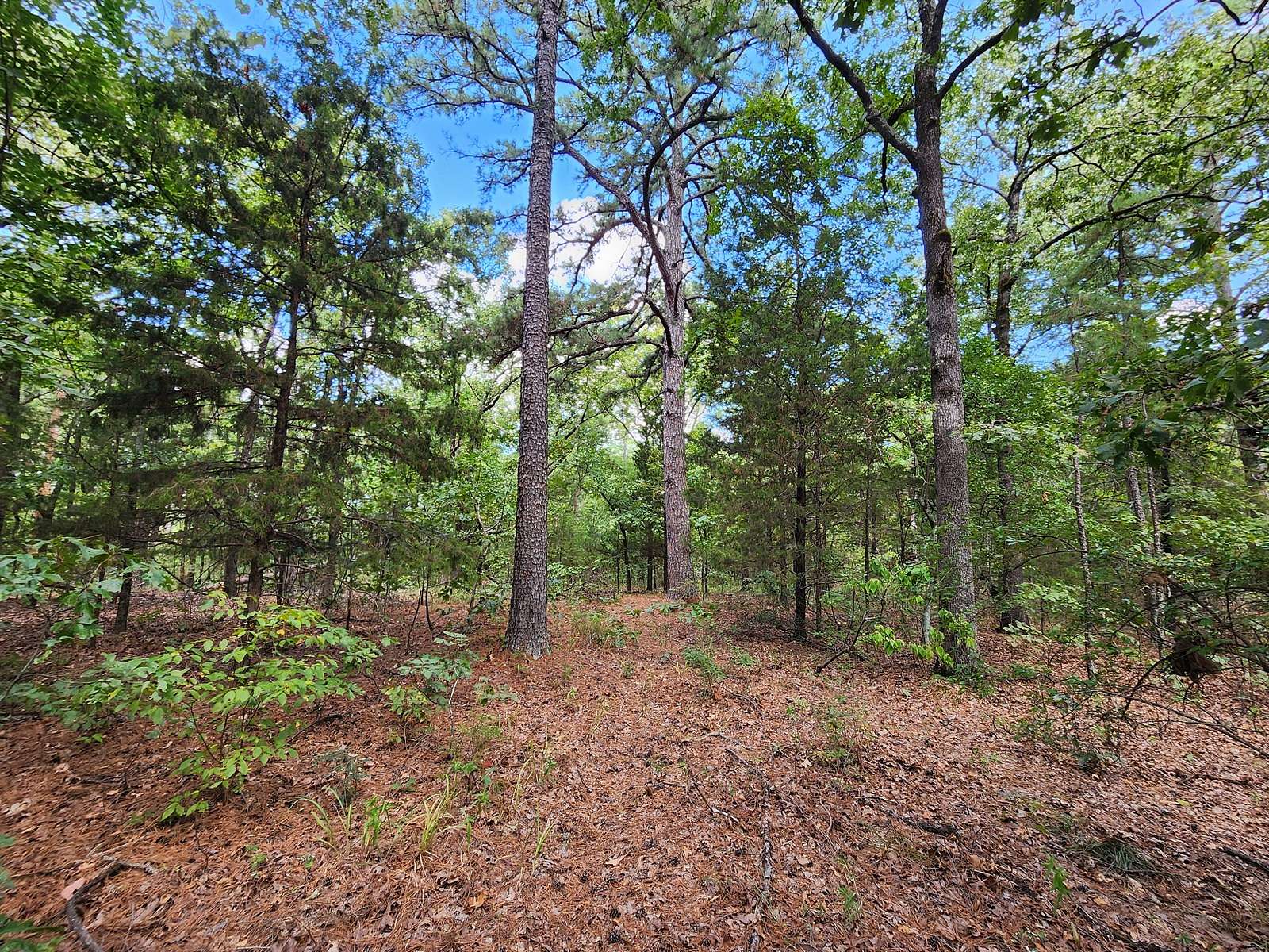 80 Acres of Land for Sale in Talihina, Oklahoma