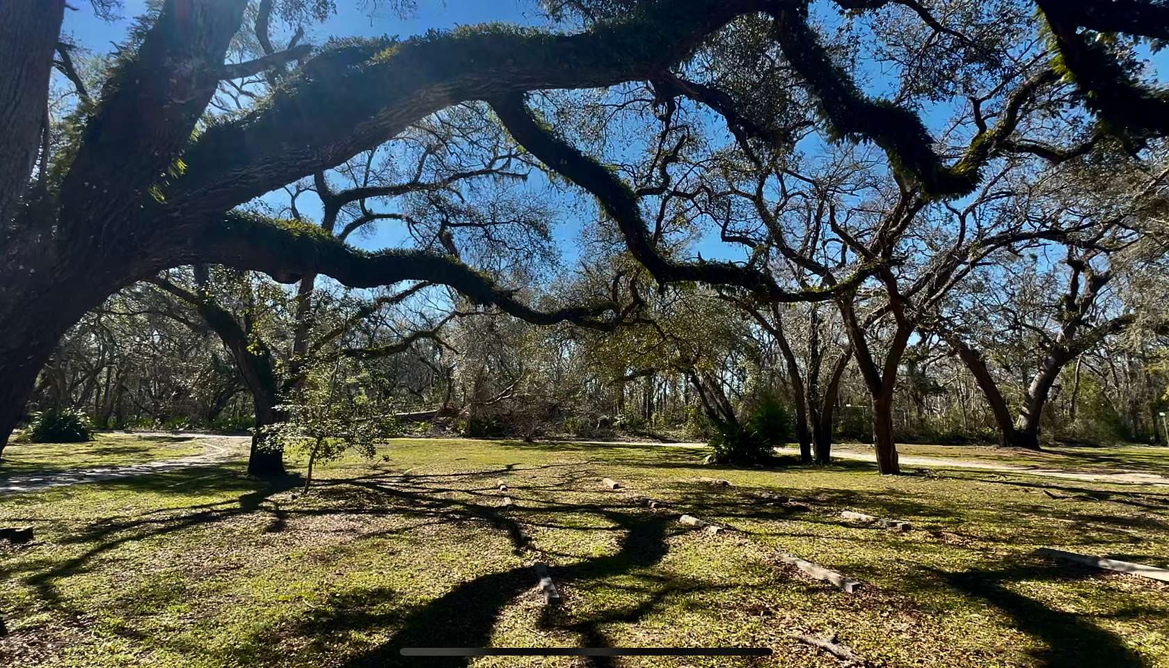 0.64 Acres of Residential Land for Sale in Mayo, Florida