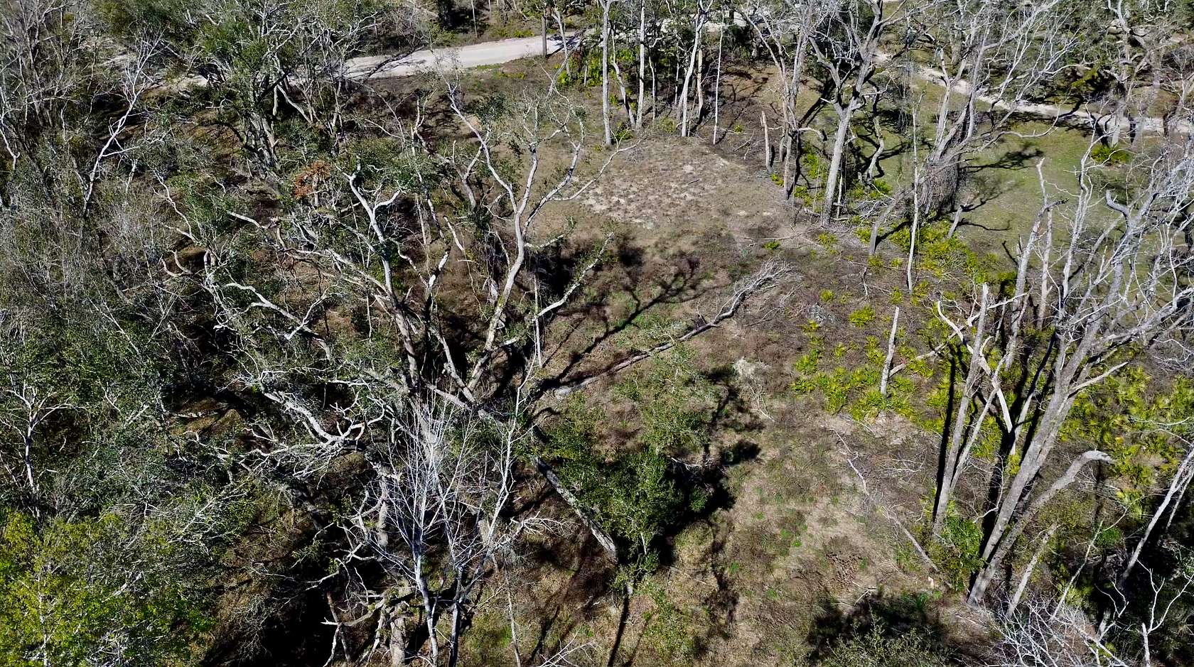 0.64 Acres of Residential Land for Sale in Mayo, Florida
