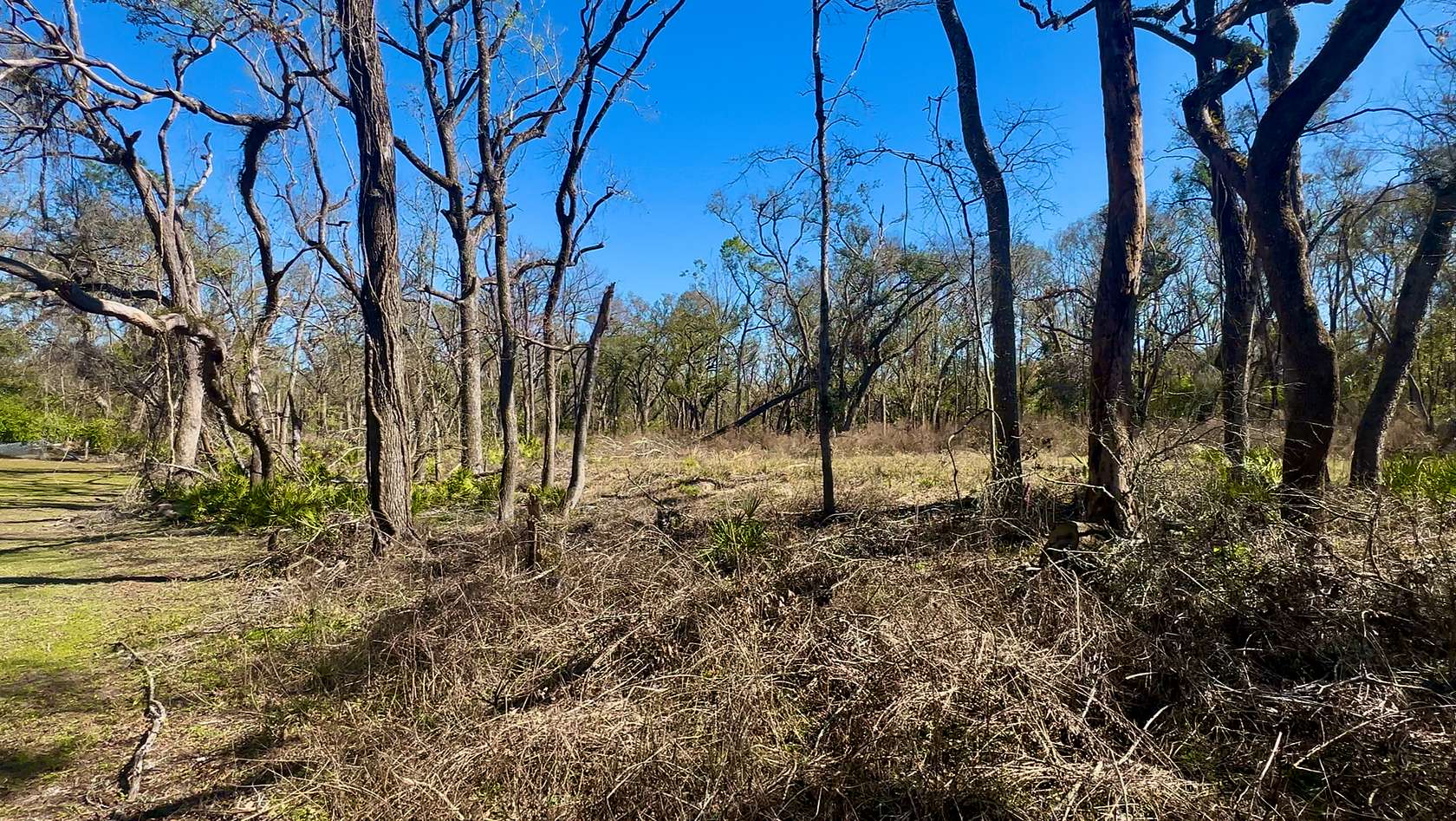 0.64 Acres of Residential Land for Sale in Mayo, Florida