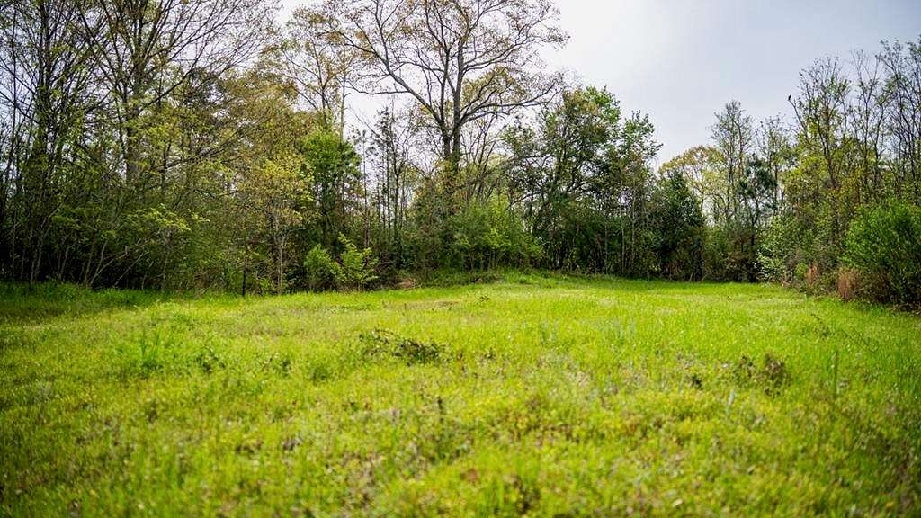 80 Acres of Recreational Land & Farm for Sale in Woodville, Mississippi