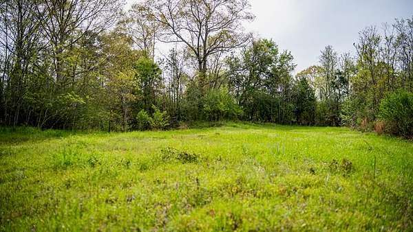 80 Acres of Recreational Land & Farm for Sale in Woodville, Mississippi