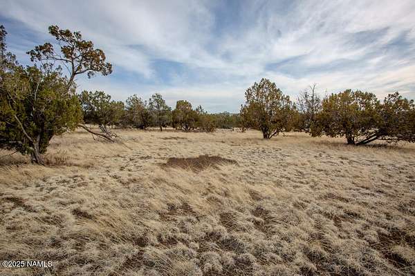 5 Acres of Land for Sale in Flagstaff, Arizona