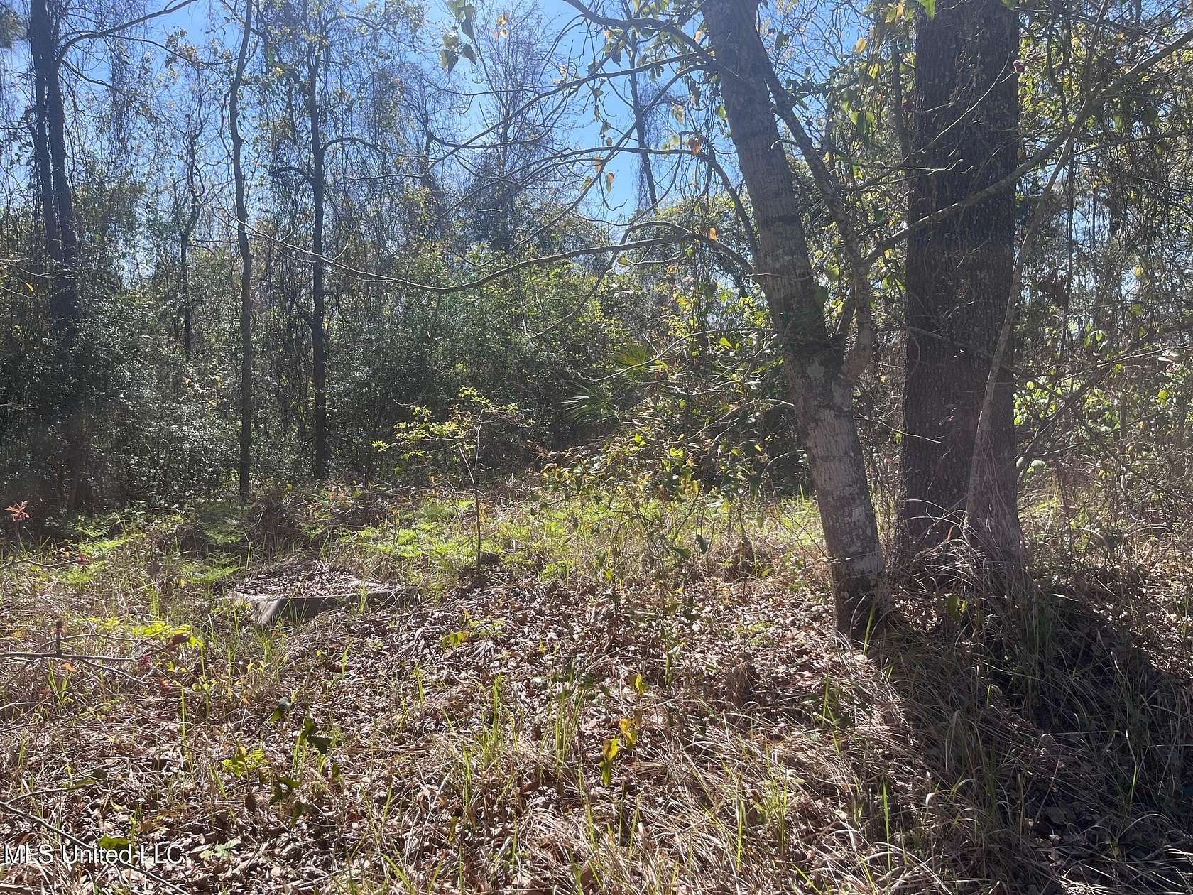 0.46 Acres of Residential Land for Sale in Ocean Springs, Mississippi