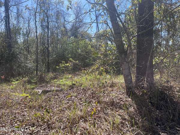0.46 Acres of Residential Land for Sale in Ocean Springs, Mississippi