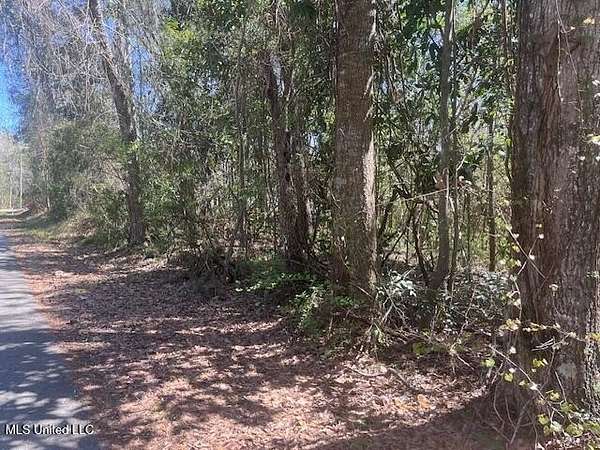 0.33 Acres of Residential Land for Sale in Ocean Springs, Mississippi