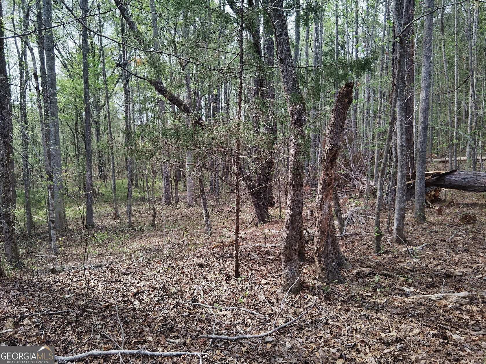 5.77 Acres of Land for Sale in Greenville, Georgia