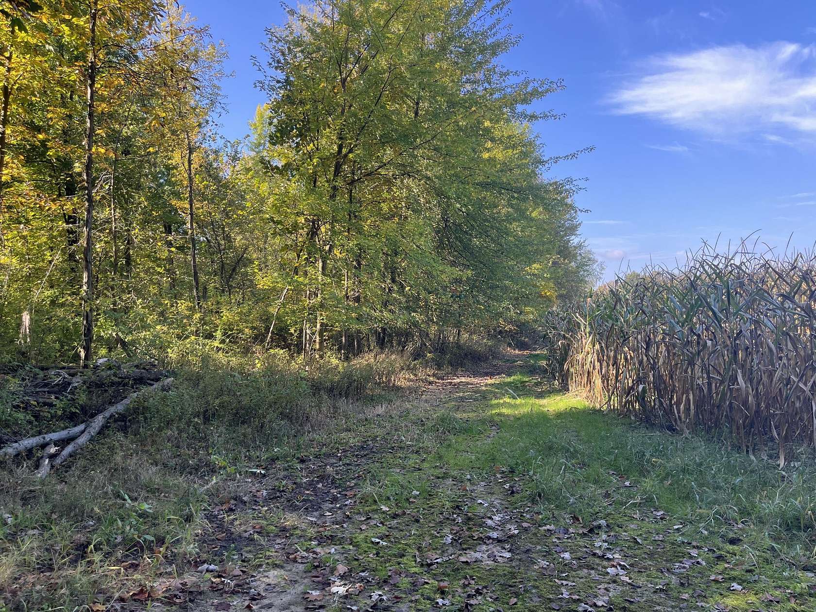 18.7 Acres of Land for Sale in Lawrence, Michigan
