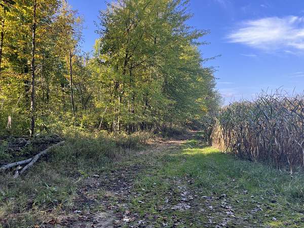 18.7 Acres of Land for Sale in Lawrence, Michigan