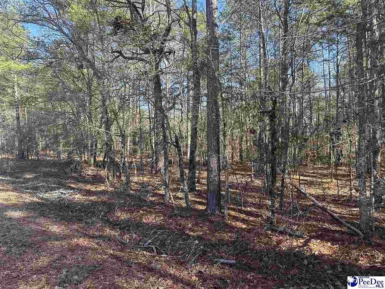 6.4 Acres of Residential Land for Sale in Cheraw, South Carolina