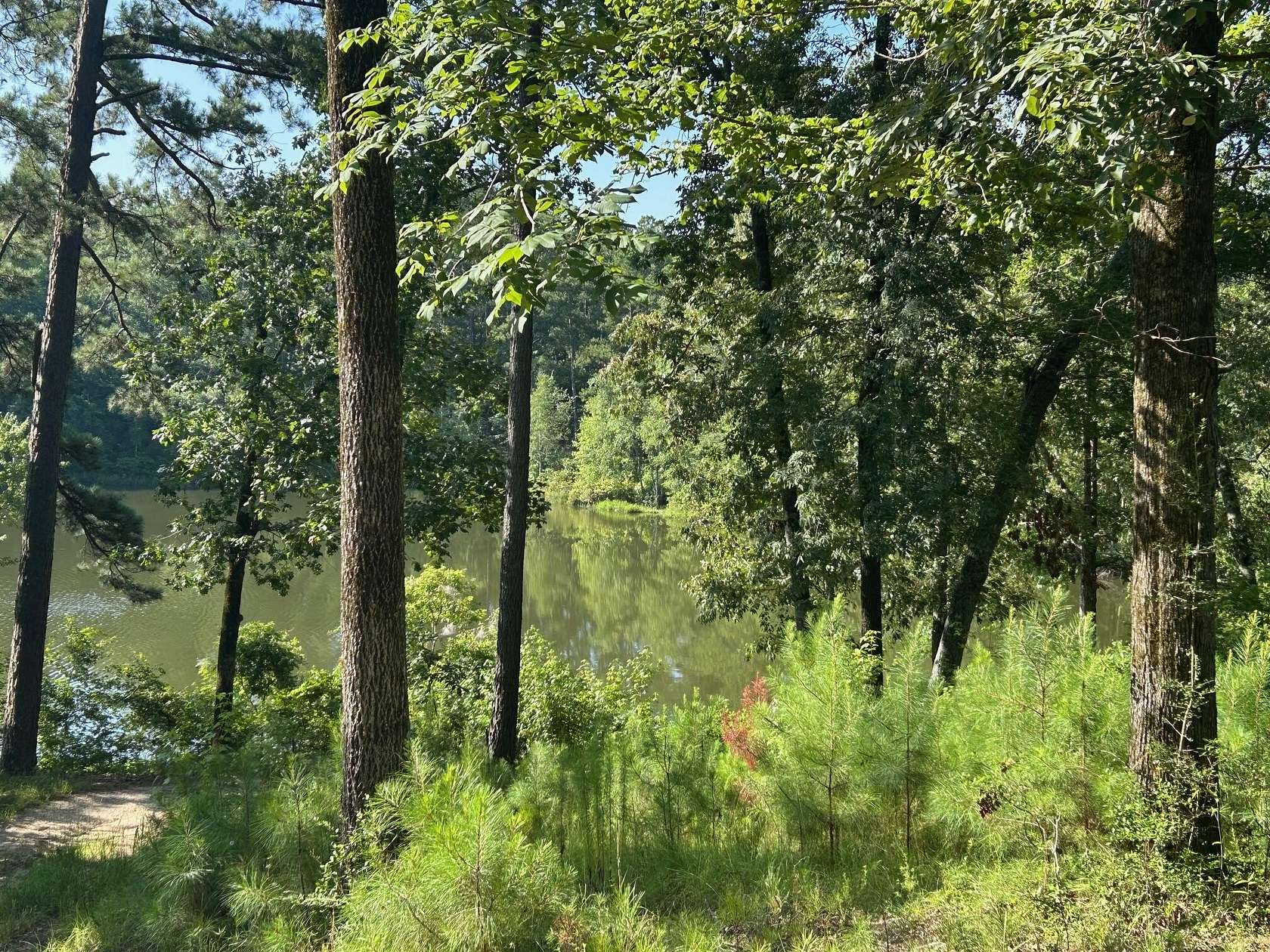 0.36 Acres of Residential Land for Sale in Aiken, South Carolina