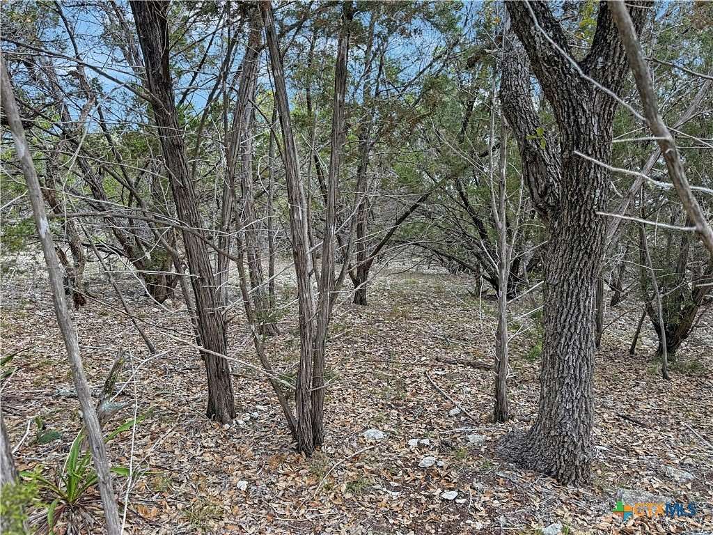 0.16 Acres of Land for Sale in Spring Branch, Texas