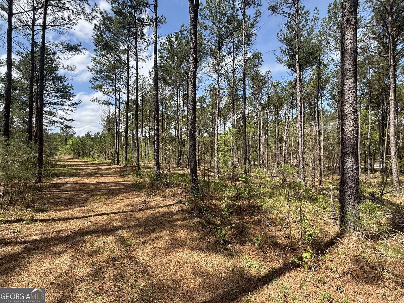 54 Acres of Recreational Land for Sale in Buckhead, Georgia