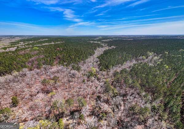 174 Acres of Recreational Land for Sale in Pine Mountain, Georgia