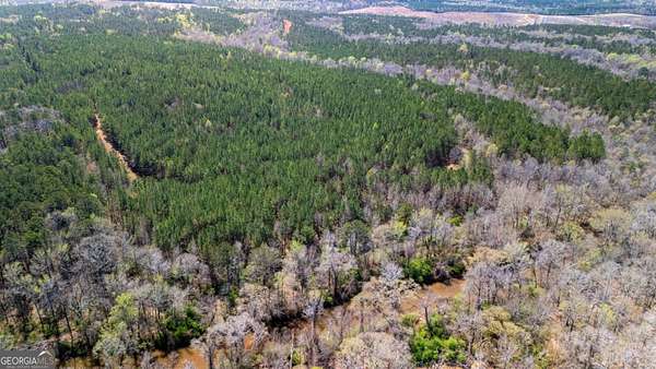 210 Acres of Recreational Land for Sale in Pine Mountain, Georgia