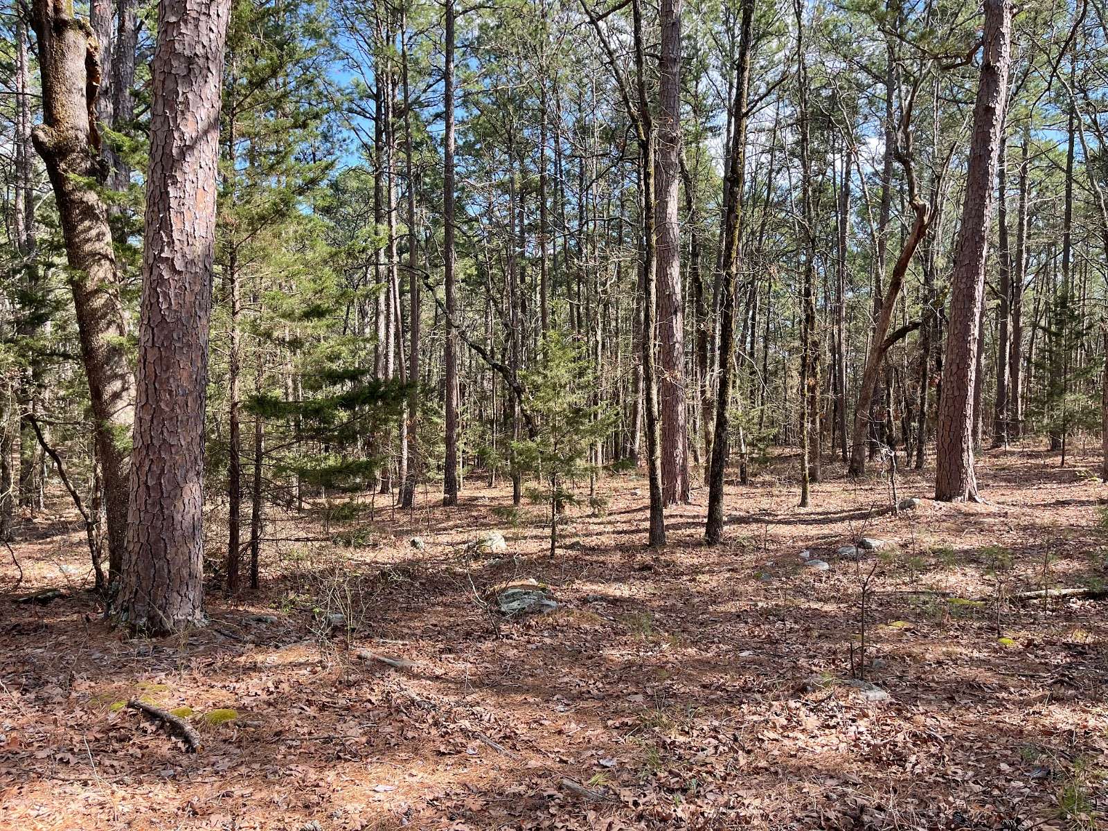 5 Acres of Residential Land for Sale in Moyers, Oklahoma