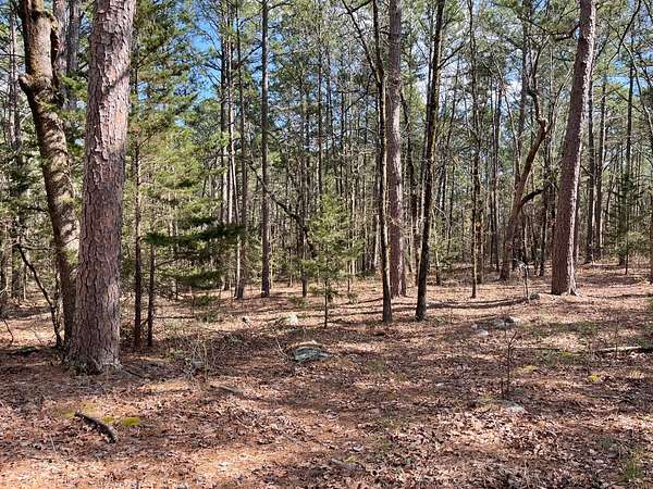 5 Acres of Residential Land for Sale in Moyers, Oklahoma