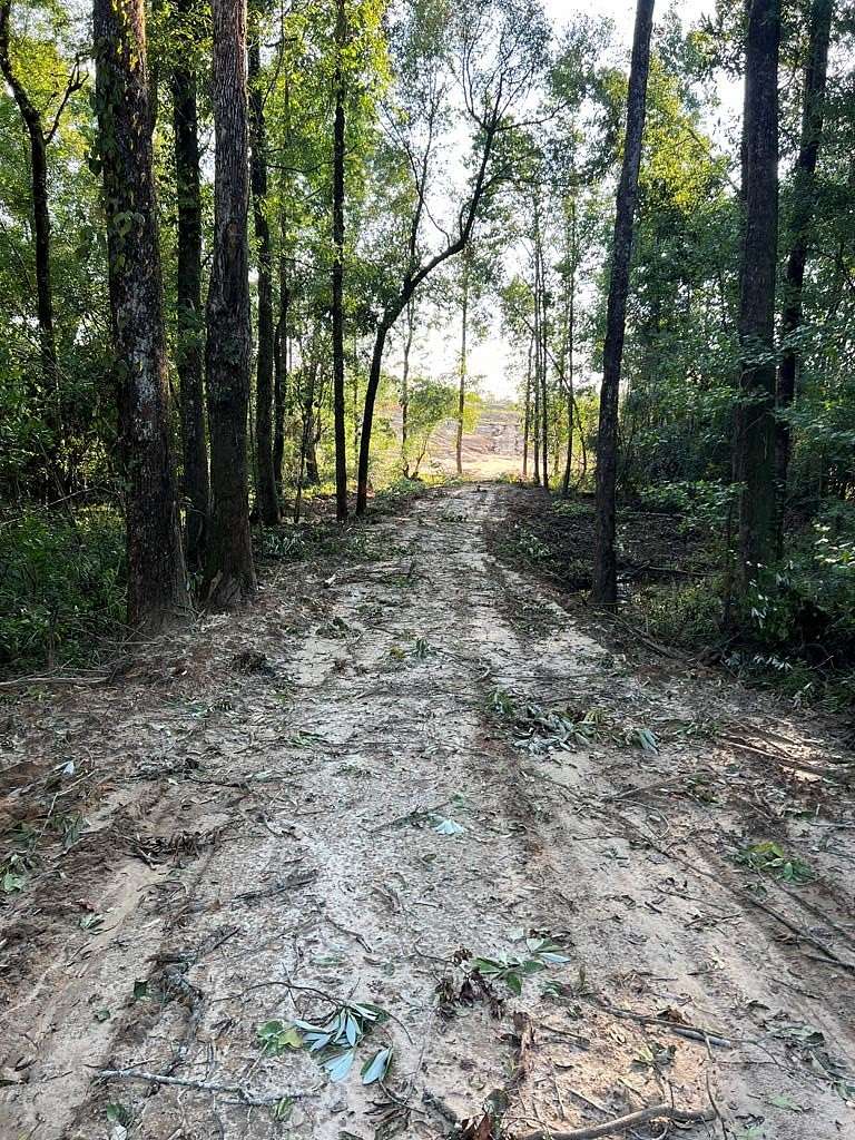 10 Acres of Residential Land for Sale in Goshen, Alabama