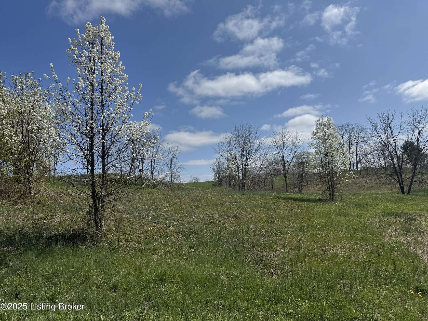 4.57 Acres of Land for Sale in Ghent, Kentucky